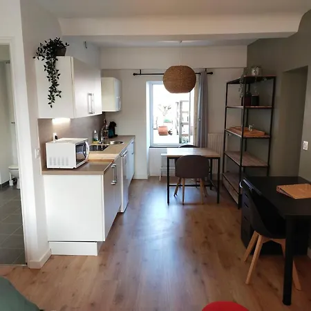 Apartment Pour 1 A 9 Personnes - La Gerbe De Ble - Terrasse Laval (Mayenne)