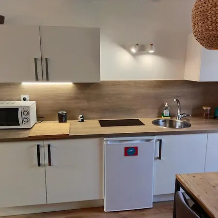 Pour 1 A 9 Personnes - La Gerbe De Ble - Terrasse * Laval (Mayenne)